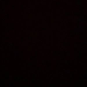 Meet your Posher, Dylan